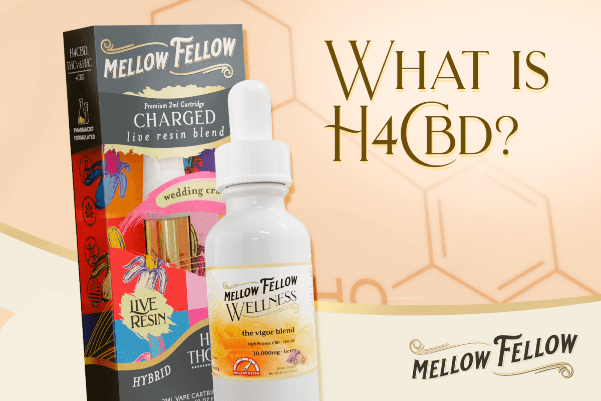 What is H4CBD? Effects, Benefits & Unique Properties - Mellow Fellow