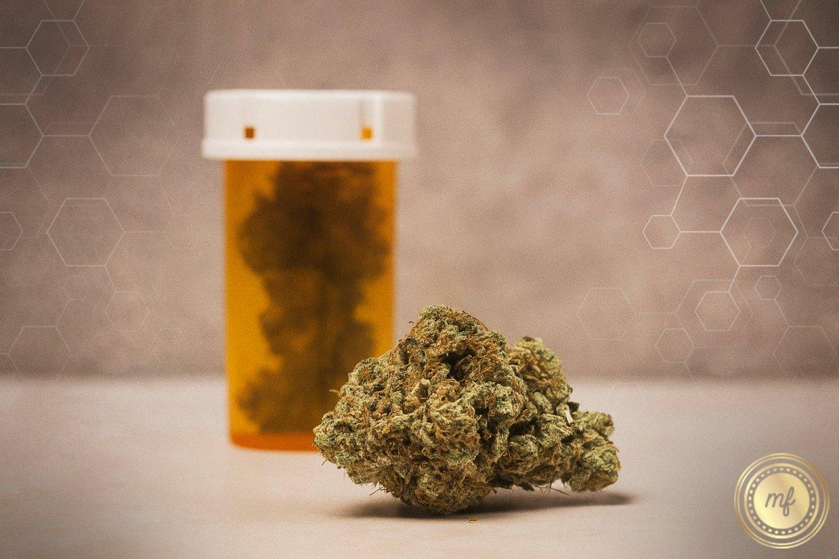 Does HHC Show Up on Drug Tests? 5 Facts You Need to Know - Mellow Fellow