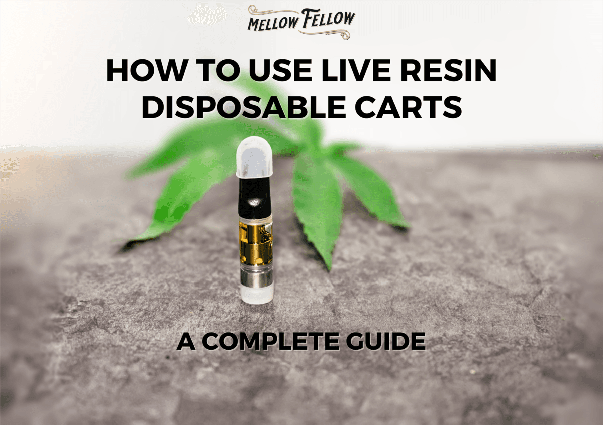 How To Use Live Resin Disposable Carts - Mellow Fellow
