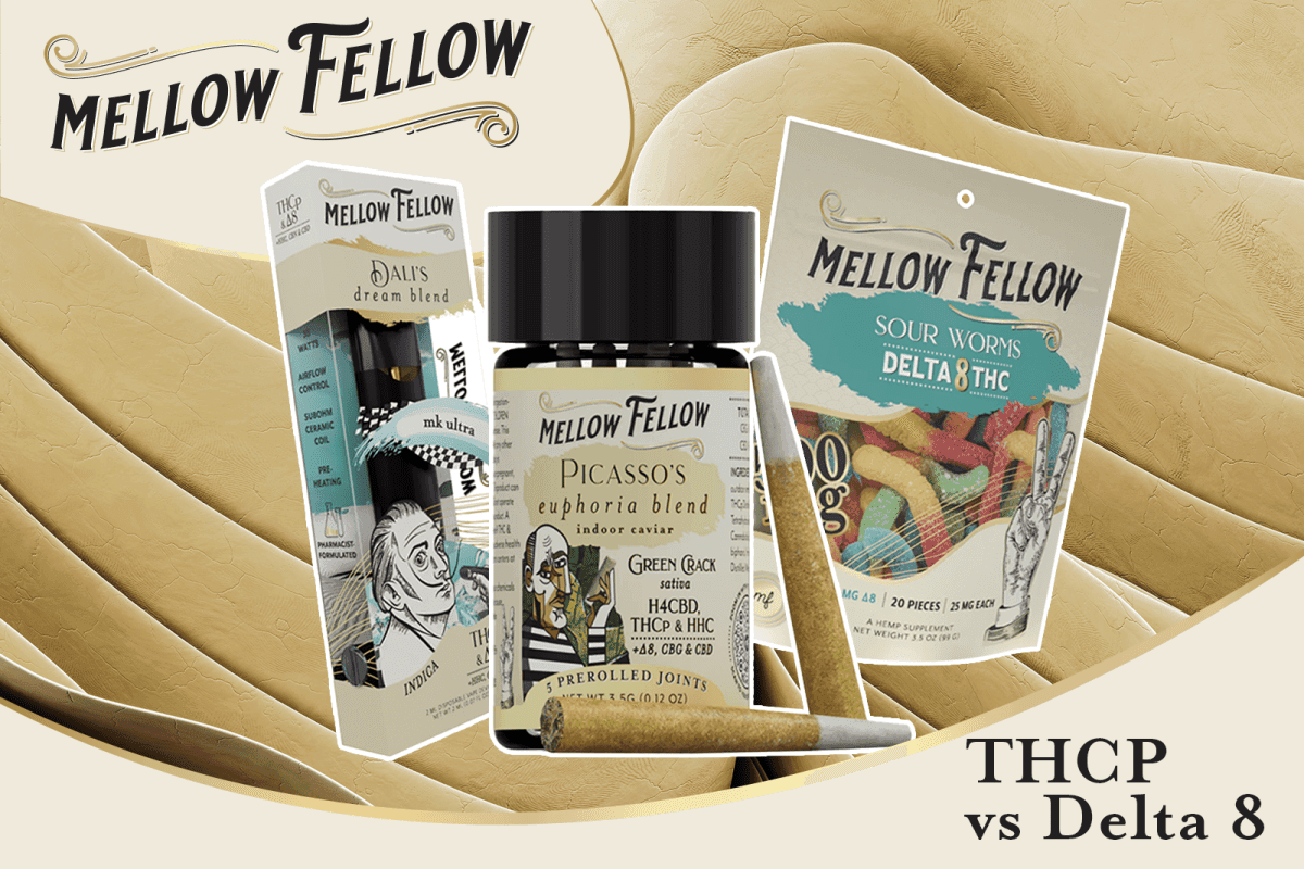 THCp vs. Delta 8 - Mellow Fellow