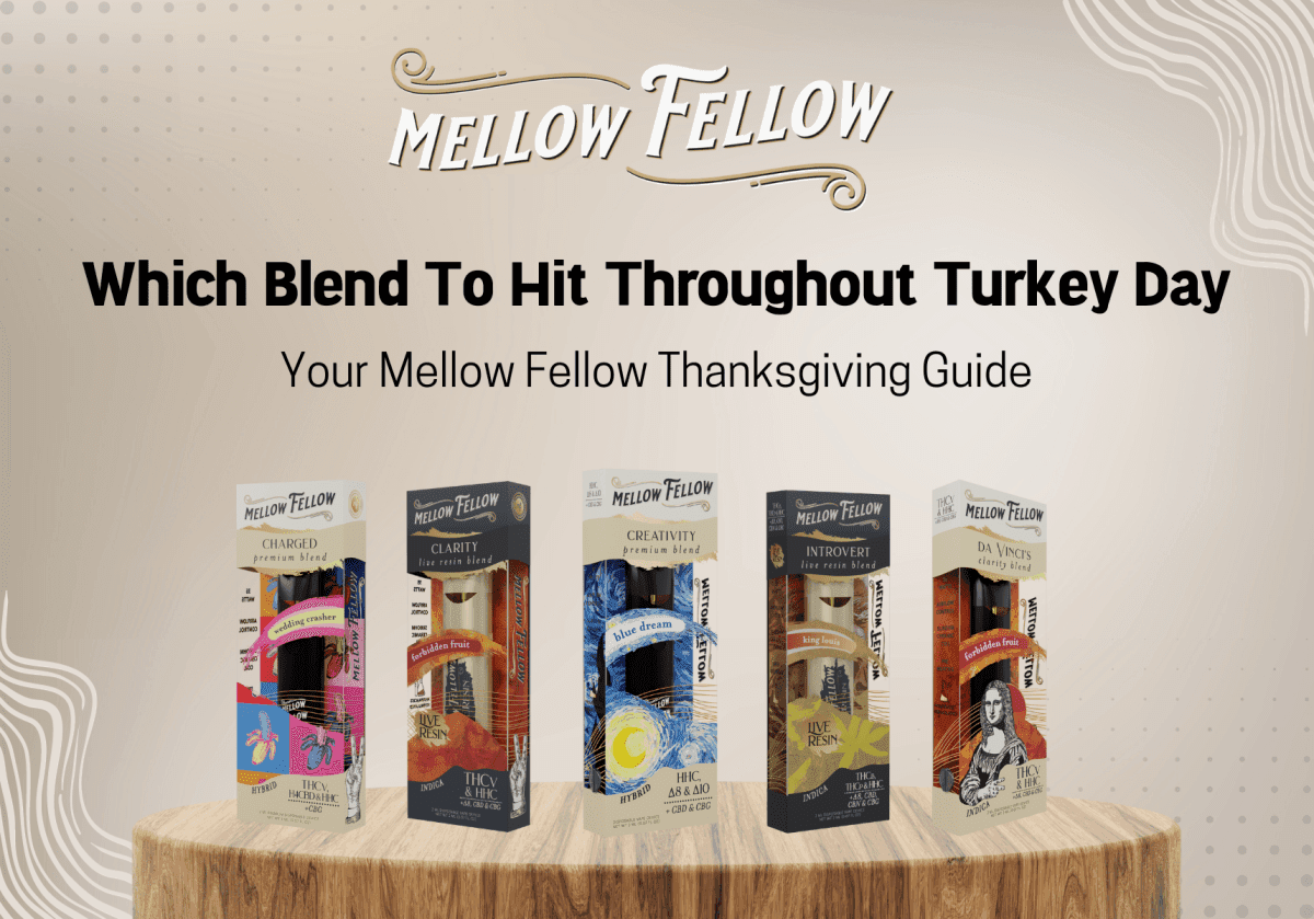 Which Blend To Hit Throughout Turkey Day - Mellow Fellow