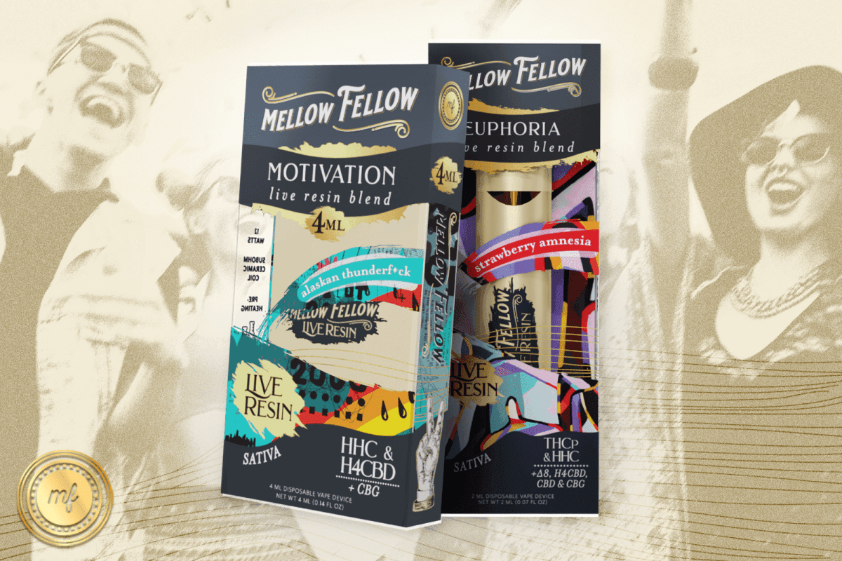 5 Best Strains for Being at a Festival - Mellow Fellow
