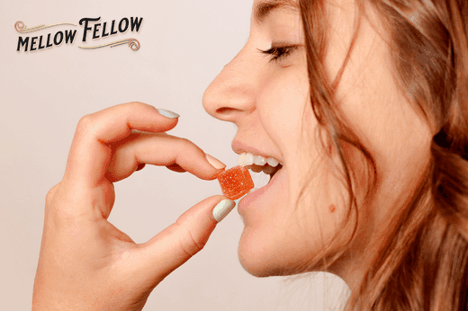 Mellow Fellow’s Guide to the Strongest THCp Gummies - Mellow Fellow