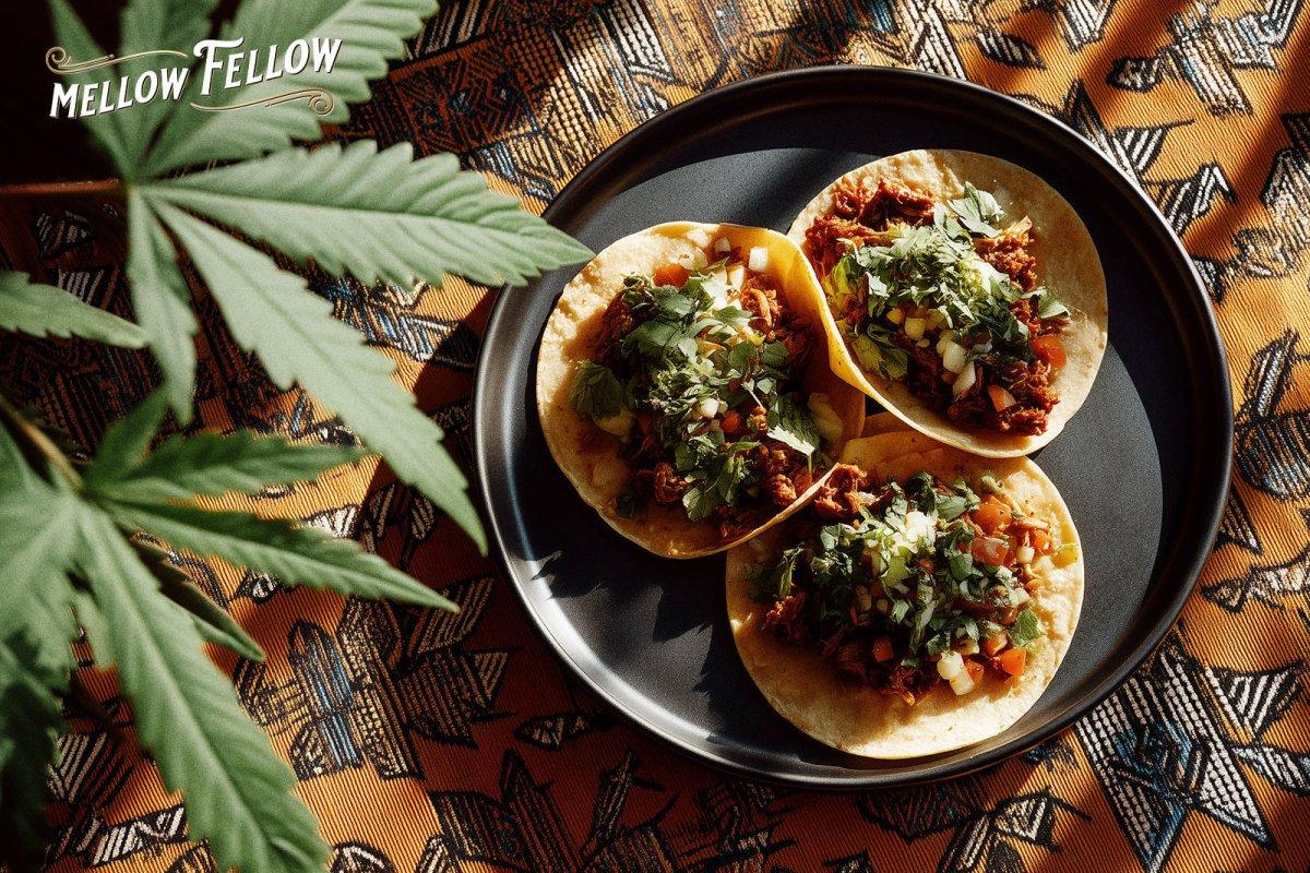 Cinco de Mayo: Liven Your Celebration With Cannabis-Infused Mexican Fiesta Ideas - Mellow Fellow