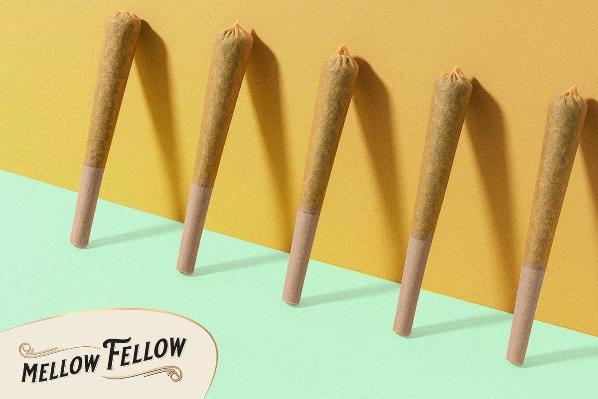 How to Smoke an Infused Preroll: A Complete Guide For Maximum Enjoyment - Mellow Fellow