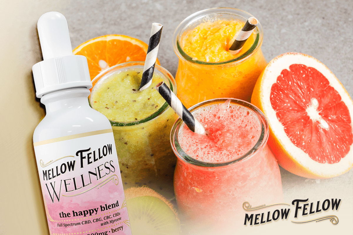 7 CBD Smoothie Recipes You Can Make with Our Wellness Tinctures (That Actually Taste Amazing) - Mellow Fellow
