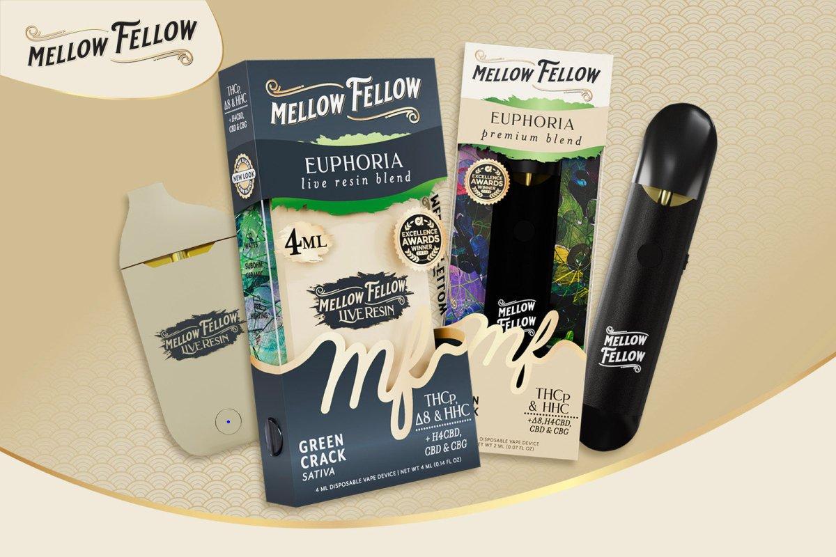 Best Sativa Strains for Focus: Your Ultimate Guide to Mental Clarity - Mellow Fellow