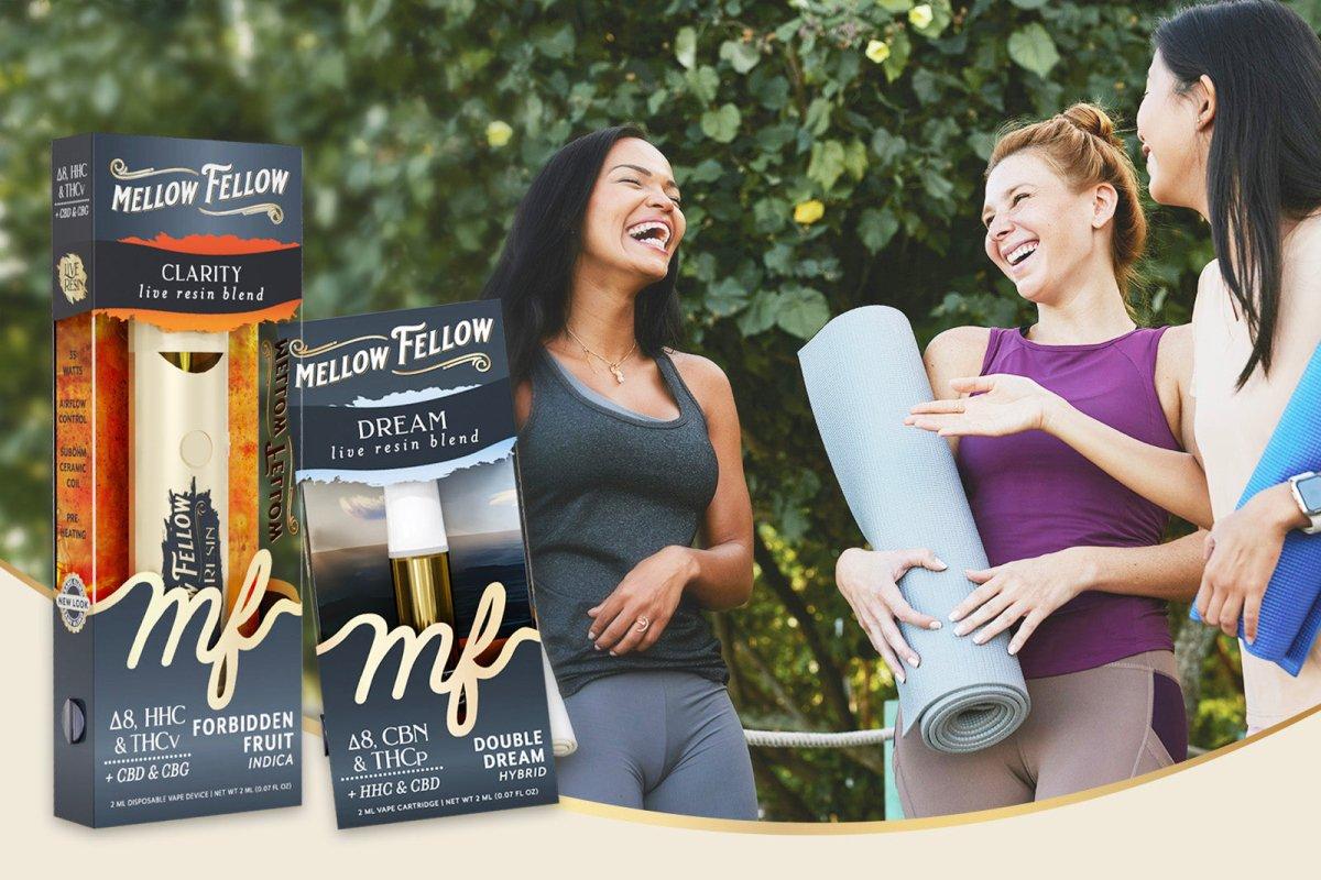 International Yoga Day: How Cannabinoids Can Deepen Your Practice - Mellow Fellow