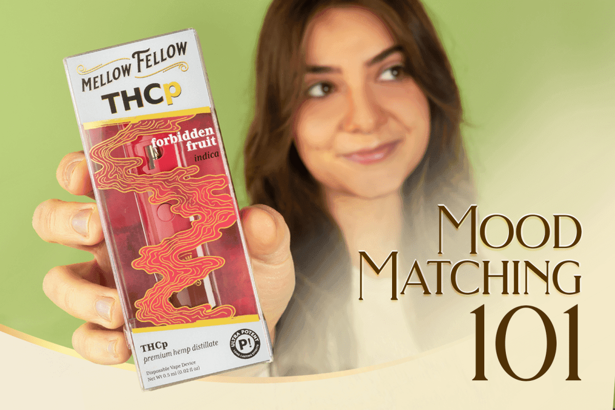 Mood Matching 101: Pick the Perfect Cannabis Product for How You Want to Feel - Mellow Fellow