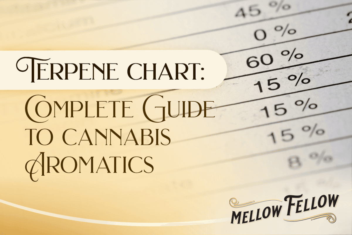How to Read a Terpene Chart: Your Complete Guide to Cannabis Aromatics - Mellow Fellow