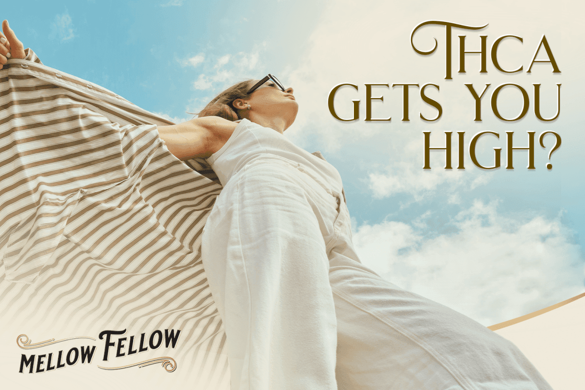 Does THCa Get You High? A Look at the Potency of THCa - Mellow Fellow
