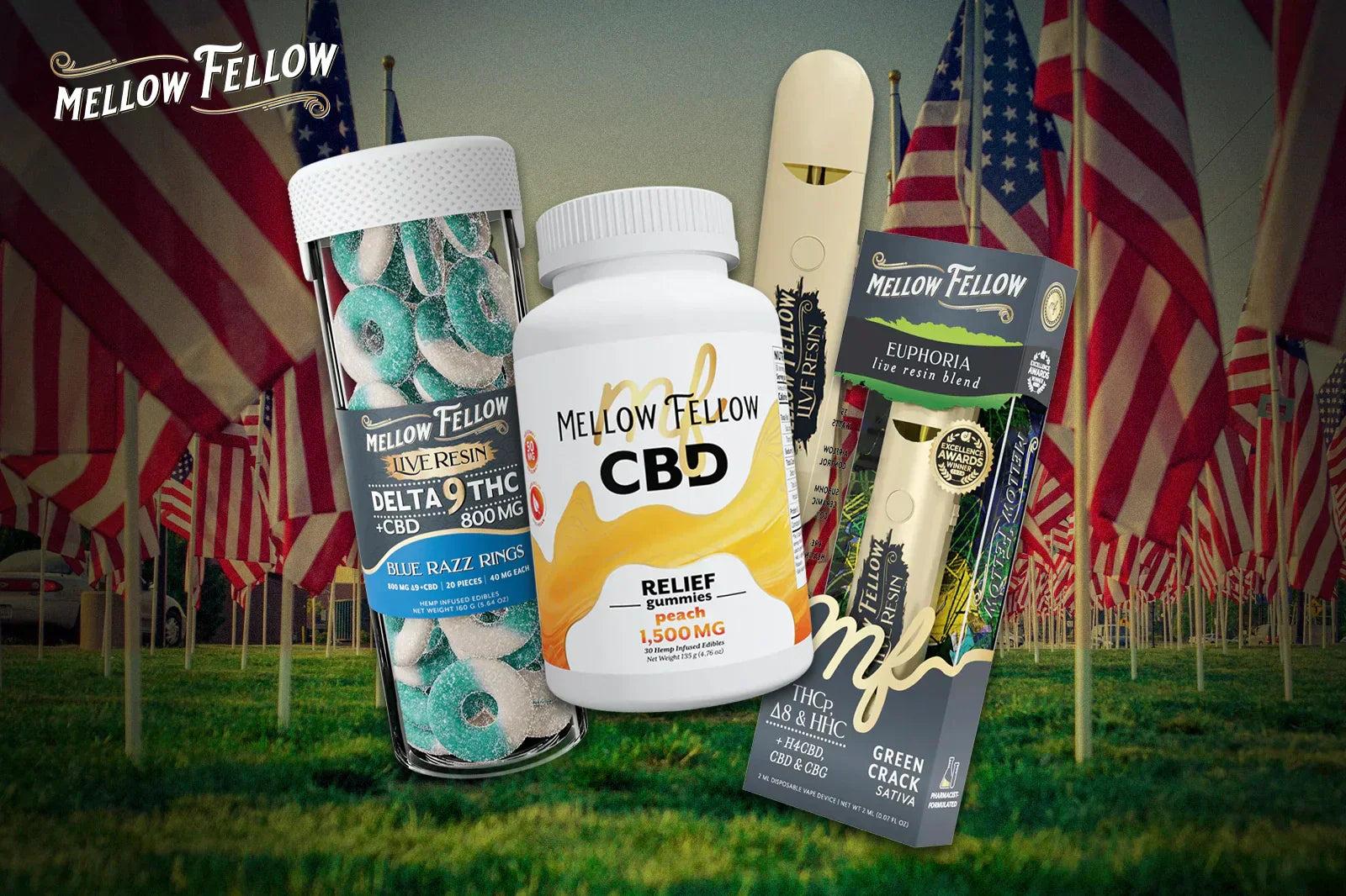 Honoring Veterans Day 2025: Wellness Support for Those Who Served - Mellow Fellow