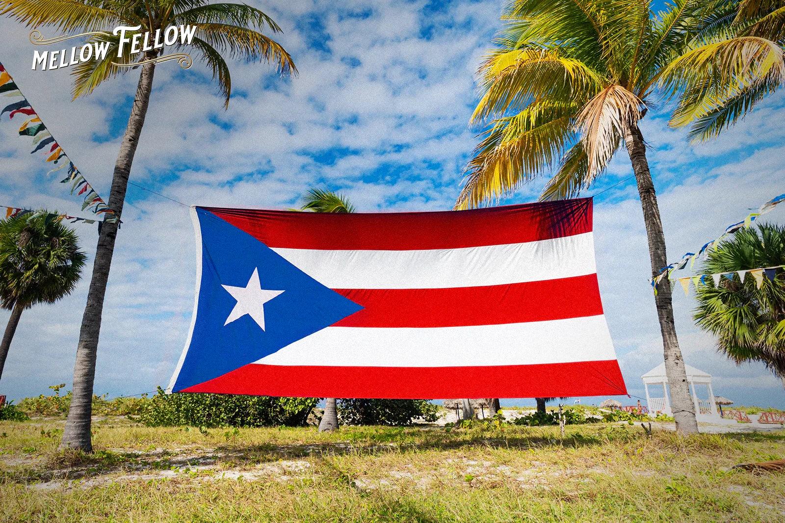 Is CBD Legal in Puerto Rico? (Your Complete 2025 Travel & Shipping Guide) - Mellow Fellow