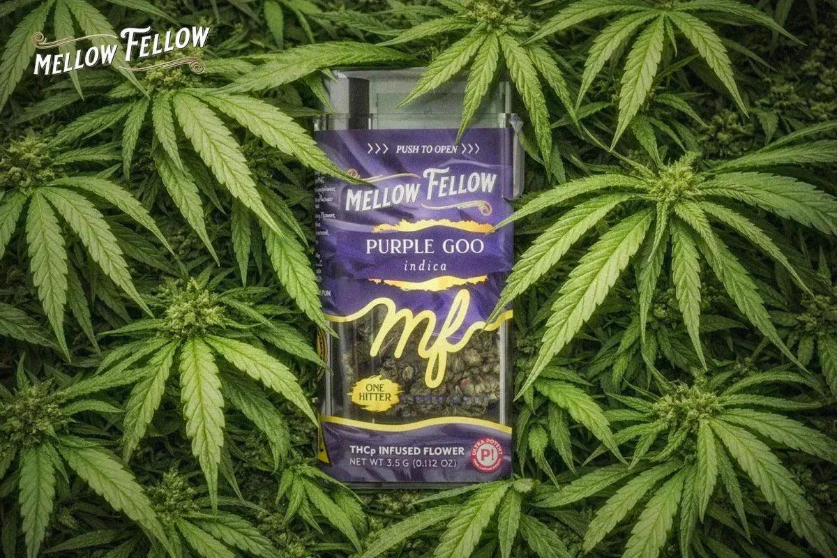 Is THCp Flower Sprayed? Quality Identification Guide - Mellow Fellow