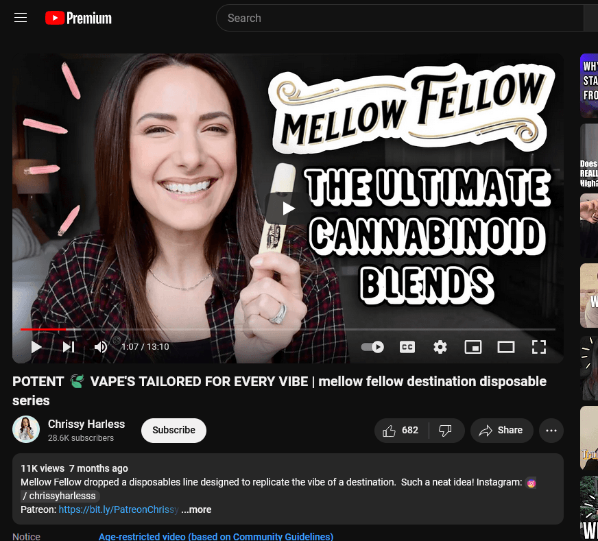 Chrissy Harless on Youtube